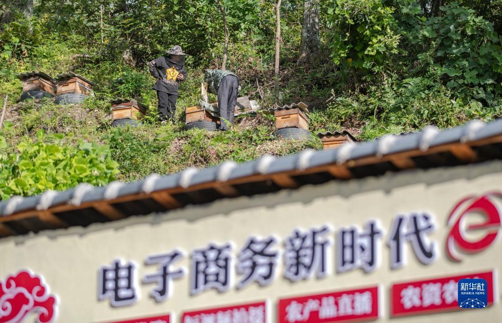 新濠天地平台